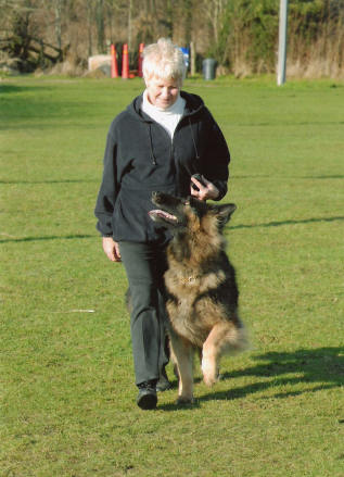 Crufts Obedience 07