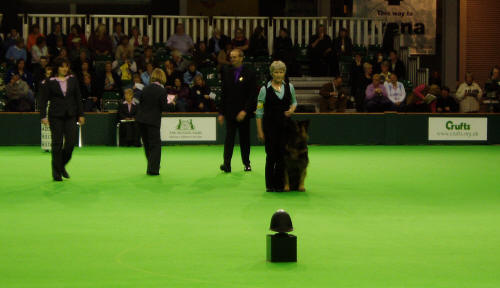 Crufts Obedience 07