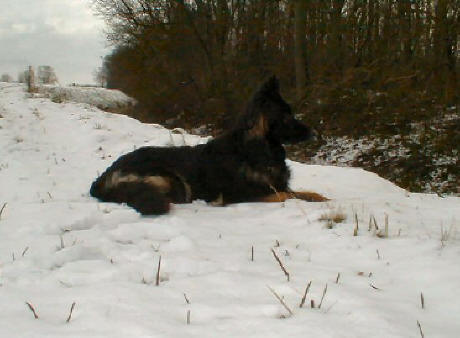 Snow Kids