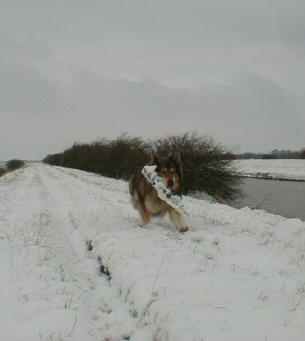 Snow Kids