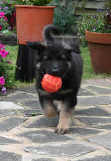 Summer and Lugar's baby girl Rio. Julie's little angel!