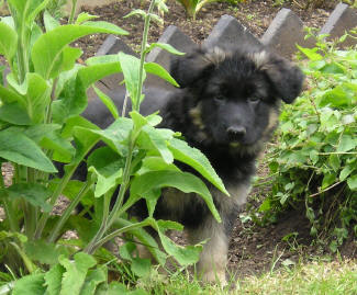  Peter's baby boy. Breeze and Lugars son