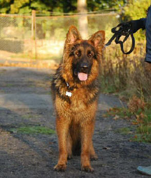 Yvonne's baby boy Ben (all grown up). Breeze and Lugar's son.