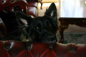 Shadow and Deasal's daughter.