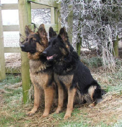 Is mummy getting it yet!!