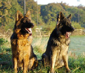 Lugar and Breeze's son Ben and Lugar and Summers baby boy Saxon. Thank you Yvonne and Jayne. 