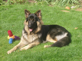 Chris and Liese's little boy Diesel. Summer and Lugars son.
