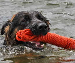 Cuba again, he is hoping to take his A test in water rescue later in the year. Thank you John and Karen.