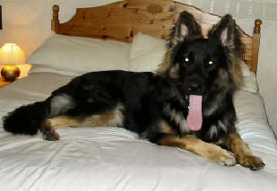 Summer and Lugar's son Frazer. Loved by Mandy and family.